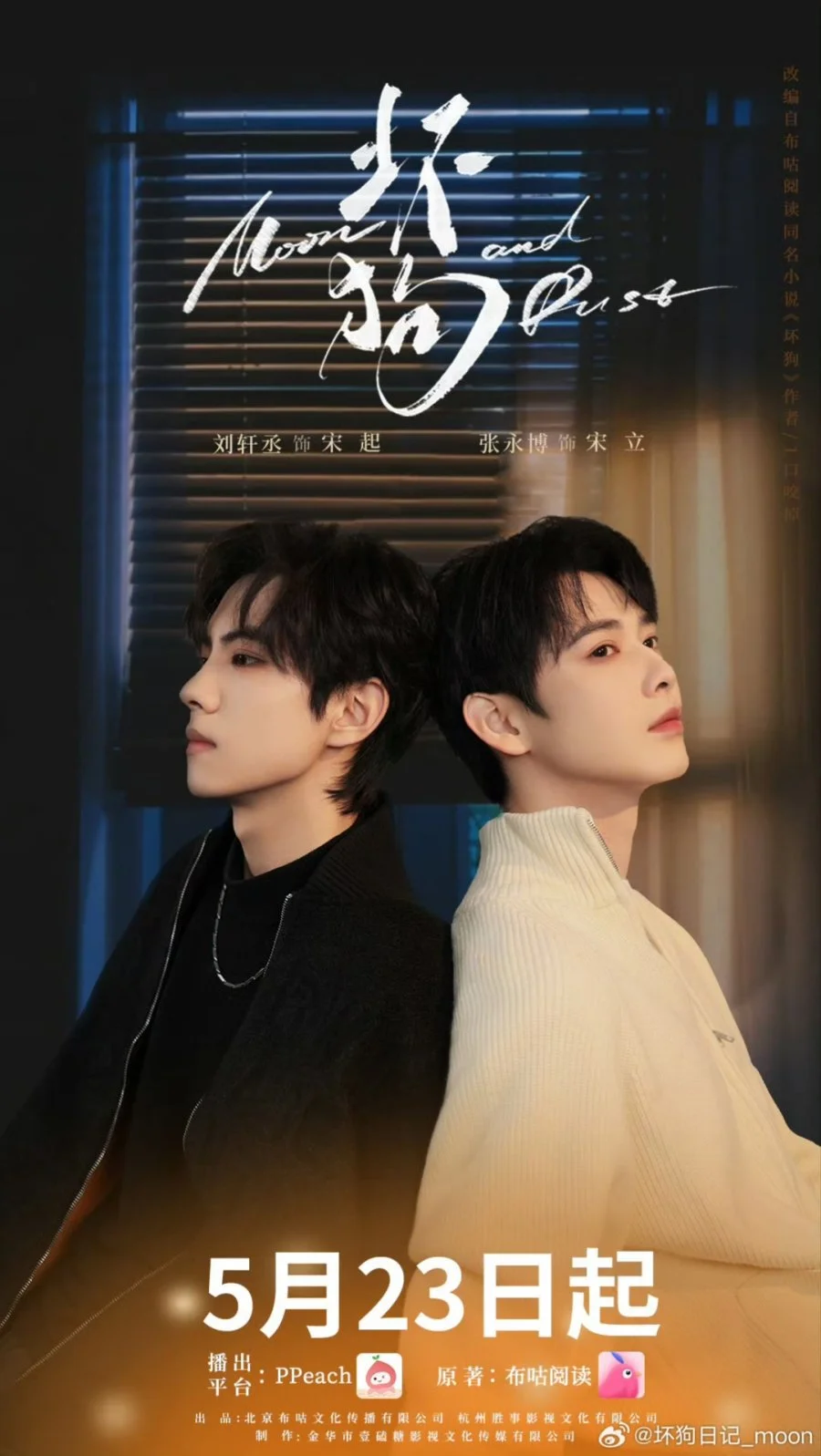 Луна и пыль - постер